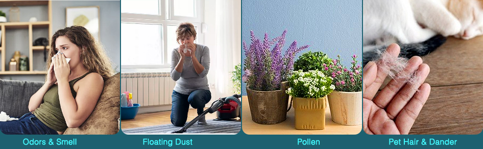 Can air purifiers only be used in winter? What exactly does it do? Can air purifiers only be used in winter? What exactly does it do?